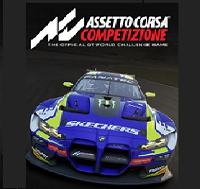Assetto Corsa Competizione Setup Help